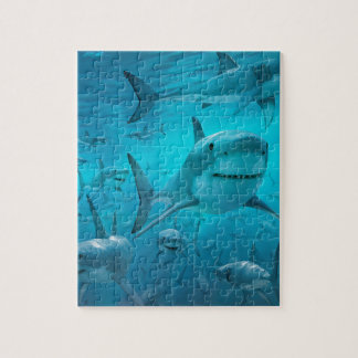 Puzzle Tiburones