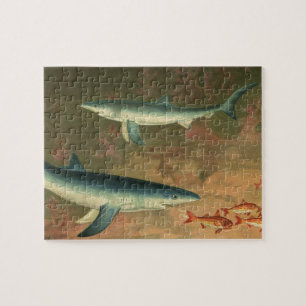 Puzzle Tiburones Azules Comiendo Peces, Vida Marina Vinta