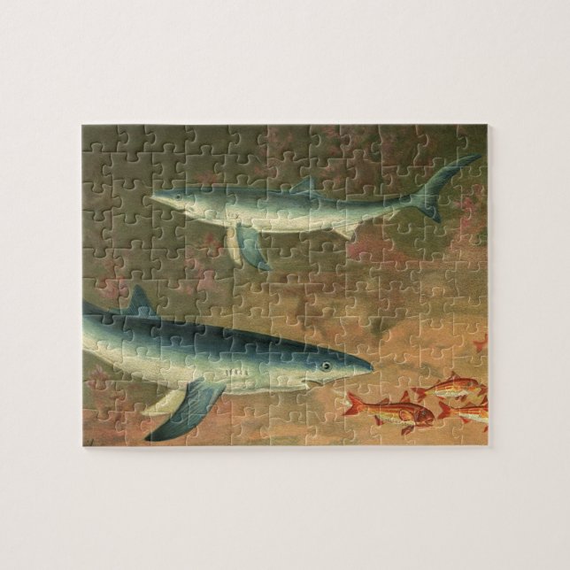 Puzzle Tiburones Azules Comiendo Peces, Vida Marina Vinta (Horizontal)