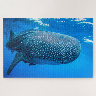 Puzzle Tiburones ballena