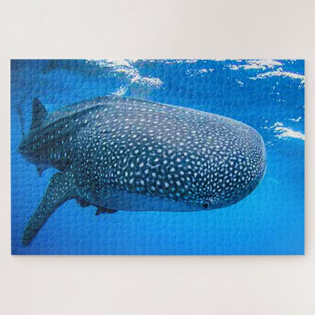 Puzzle Tiburones ballena (Horizontal)