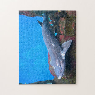Puzzle Tiburones marinos.