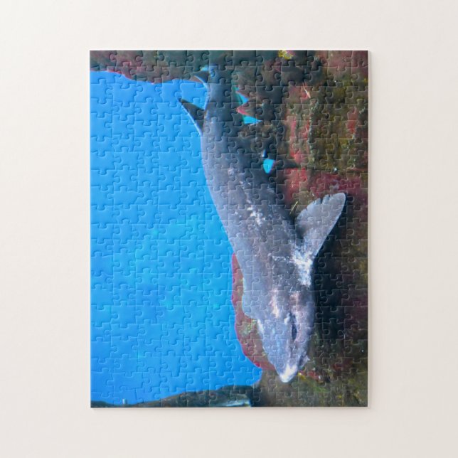 Puzzle Tiburones marinos. (Vertical)