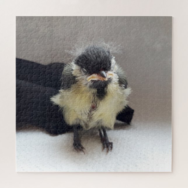 Puzzle Tidi my Bird the Parus Major (Horizontal)