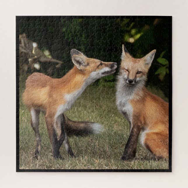 Puzzle ¿Tienes Una Moneda? (Vertical)