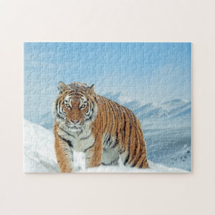 Puzzle Tiger Animal Photo Snow Trendy Winter Mountains