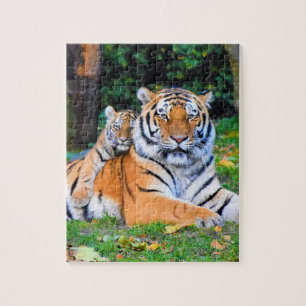 Puzzle Tiger & Baby Posing Beautifully in Grass Together