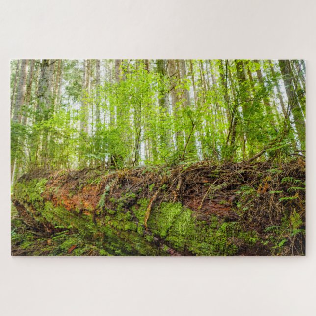 Puzzle Tiger Mountain | Issaquah, Estado de Washington (Horizontal)