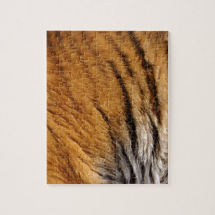 Puzzle Tiger Stripes Big Cat con muestreo fotográfico