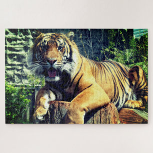 Puzzle Tigre