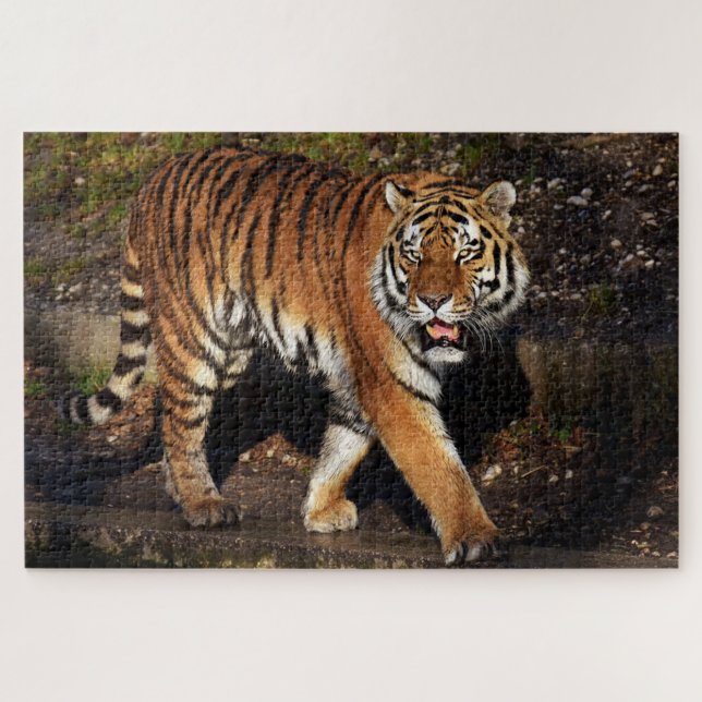 Puzzle Tigre (Horizontal)