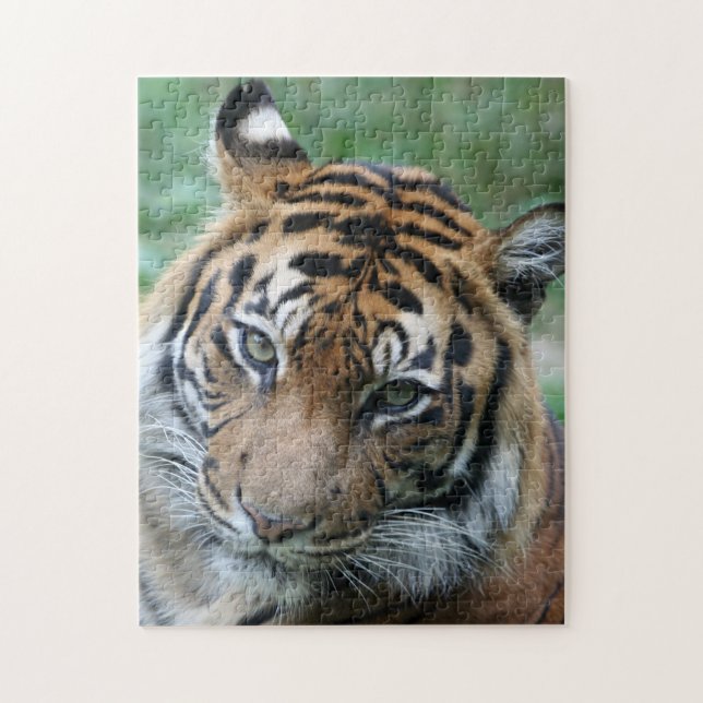 Puzzle Tigre 013 (Vertical)