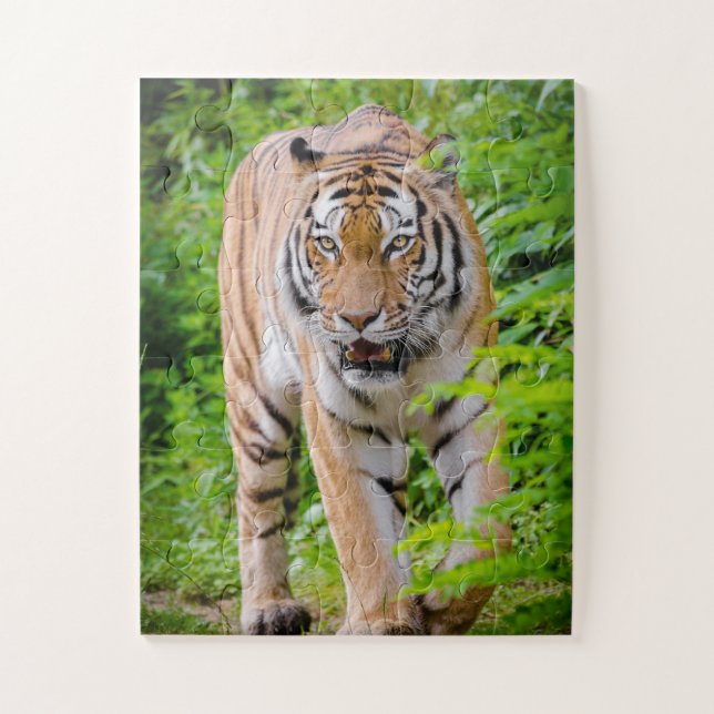 Puzzle Tigre adulto entre hojas verdes brillantes (Vertical)