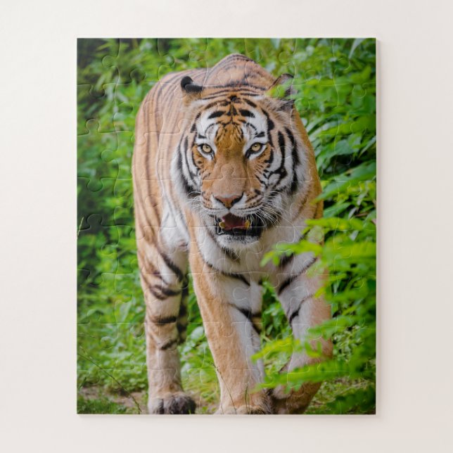 Puzzle Tigre adulto entre hojas verdes brillantes (Vertical)