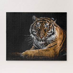 Puzzle Tigre animal de jungla salvaje