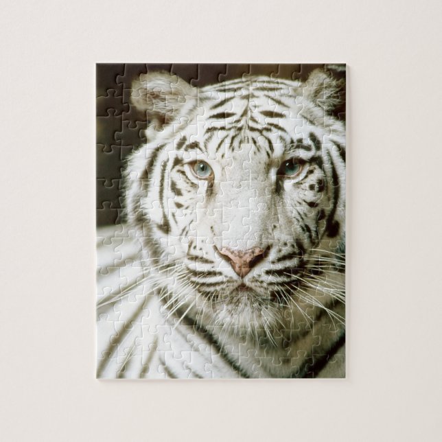 Puzzle Tigre blanco (Vertical)