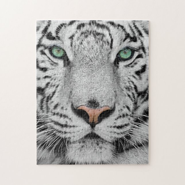 Puzzle Tigre blanco (Vertical)
