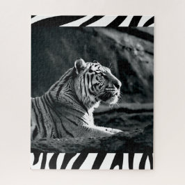 Puzzle Tigre blanco