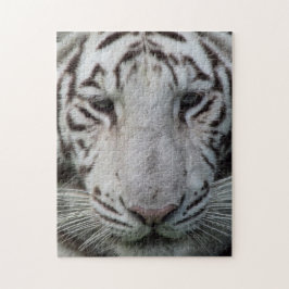 Puzzle Tigre blanco