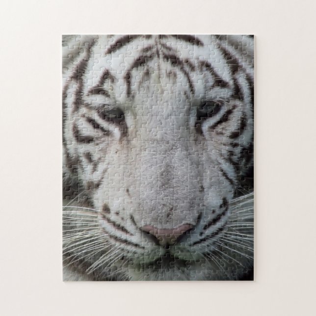 Puzzle Tigre blanco (Vertical)