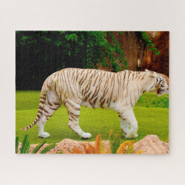 Puzzle Tigre blanco de Bengala. Grandes gatos.