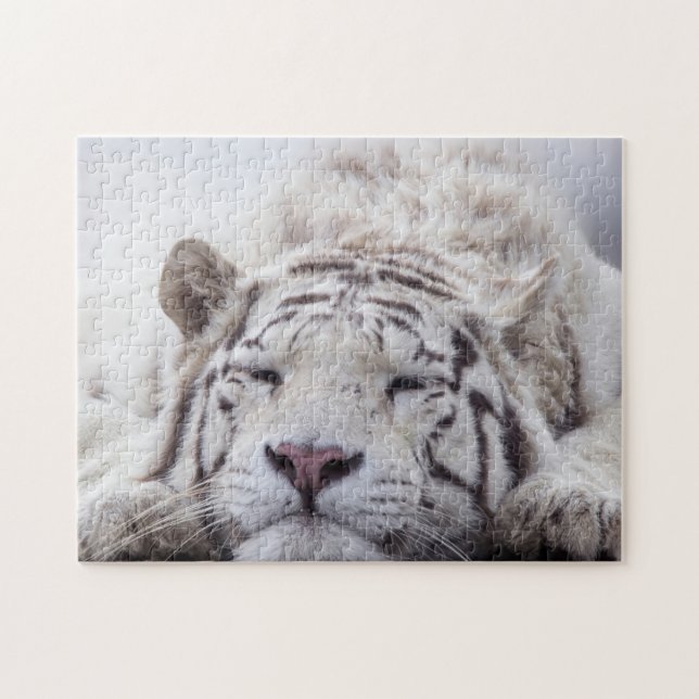 Puzzle Tigre blanco durmiente (Horizontal)