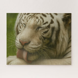 Puzzle Tigre blanco en ritual de cultivo privado