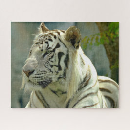 Puzzle Tigre blanco hacia arriba