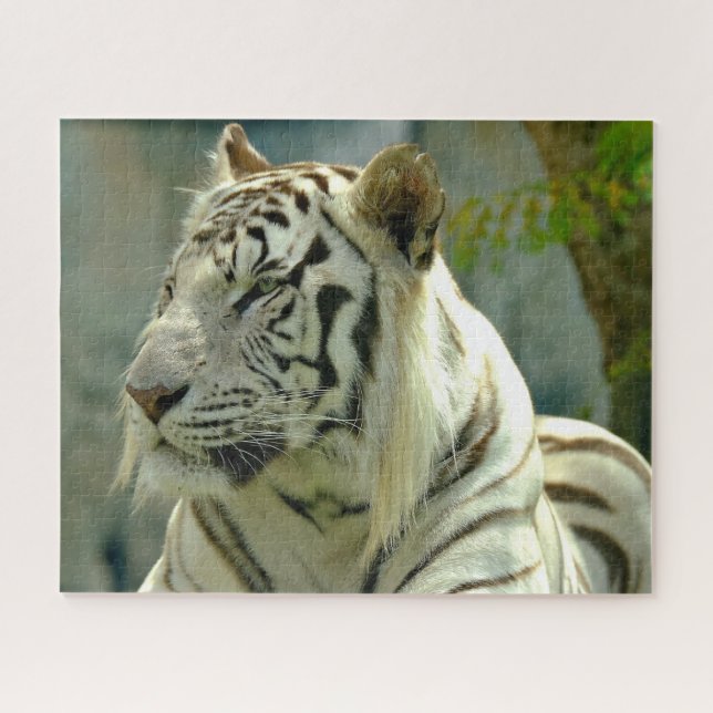 Puzzle Tigre blanco hacia arriba (Horizontal)