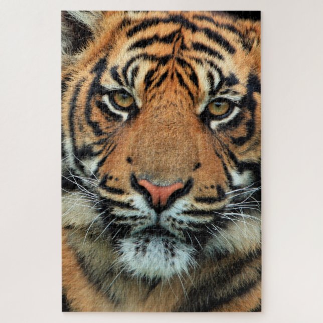 Puzzle Tigre - Cara - (Vertical)