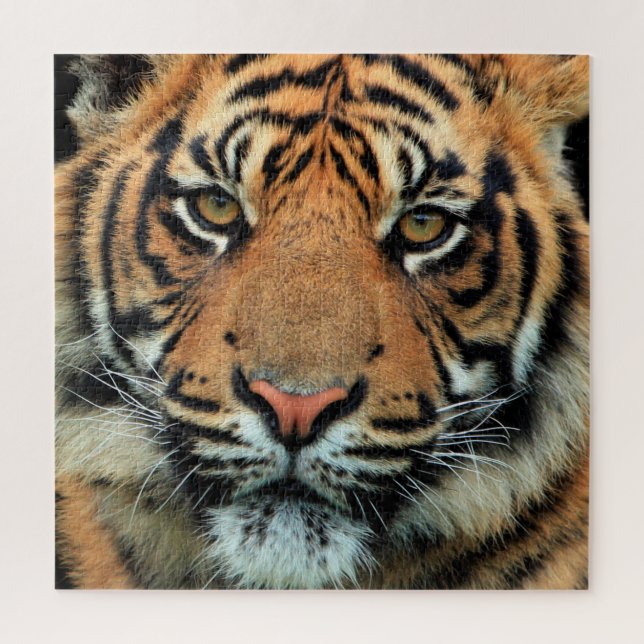 Puzzle Tigre - Cara - (Vertical)