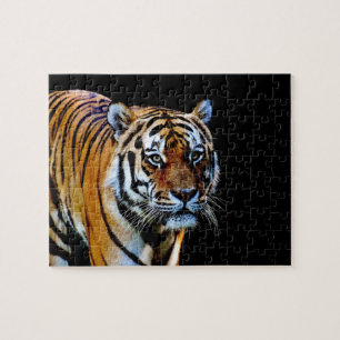 Puzzle Tigre con el fondo negro