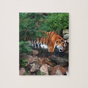 Puzzle Tigre de bebida de otoño