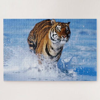Puzzle Tigre de Bengala en el hermoso océano azul