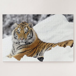 Puzzle Tigre de Bengala observándote desde la nieve