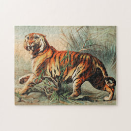 Puzzle Tigre de bengala real por John Karst