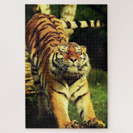 Puzzle Tigre de estiramiento