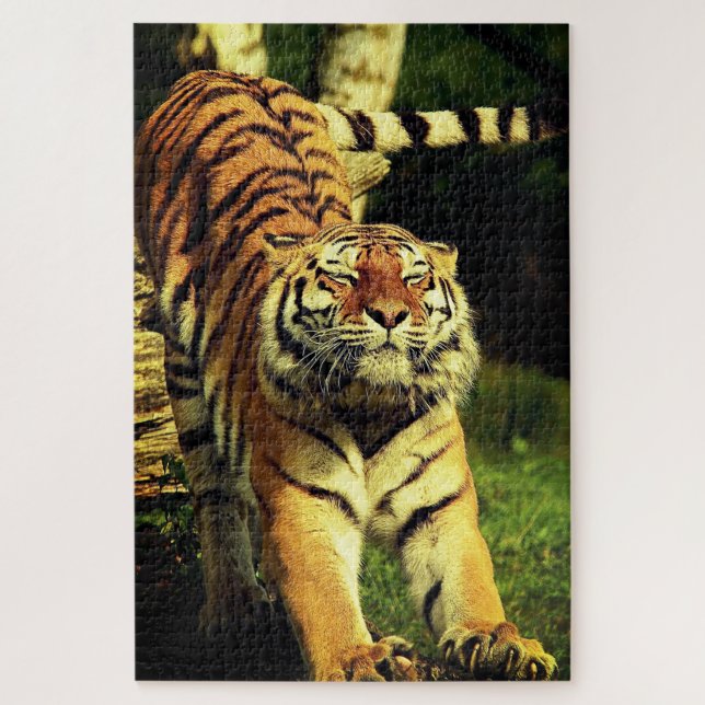 Puzzle Tigre de estiramiento (Vertical)
