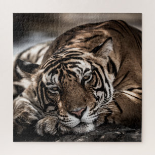 Puzzle Tigre de Ranthambore: arte de primera mano.