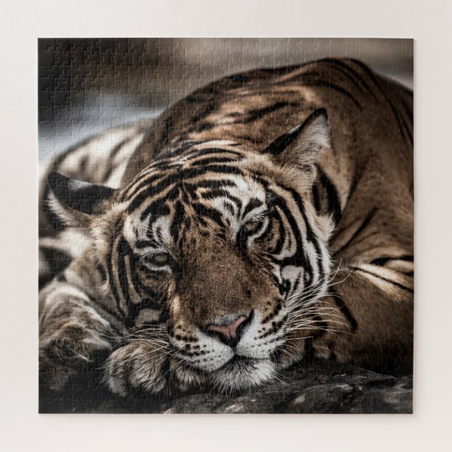 Puzzle Tigre de Ranthambore: arte de primera mano. (Vertical)