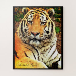 Puzzle Tigre de Siberia