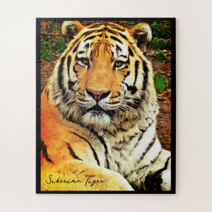 Puzzle Tigre de Siberia