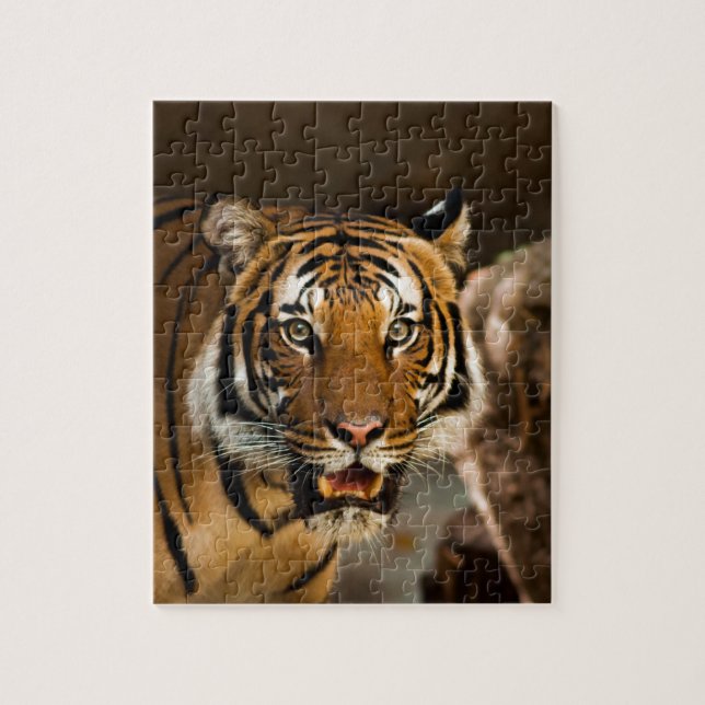 Puzzle Tigre de Siberia (Vertical)