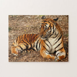 Puzzle Tigre de Sumatra 2