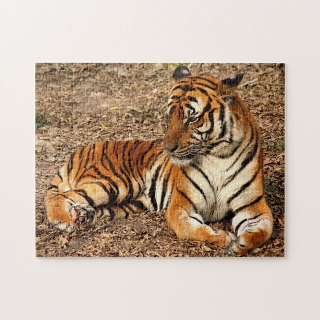 Puzzle Tigre de Sumatra 2 (Horizontal)