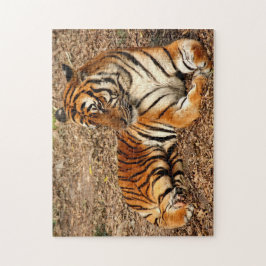 Puzzle Tigre de Sumatra 2