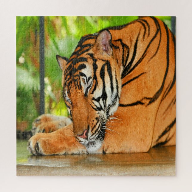 Puzzle Tigre durmiente (Vertical)