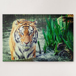 Puzzle Tigre en el agua