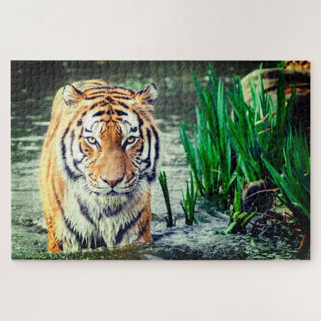 Puzzle Tigre en el agua (Horizontal)