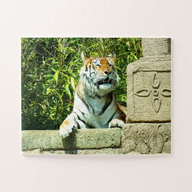 Puzzle Tigre en el templo (Horizontal)